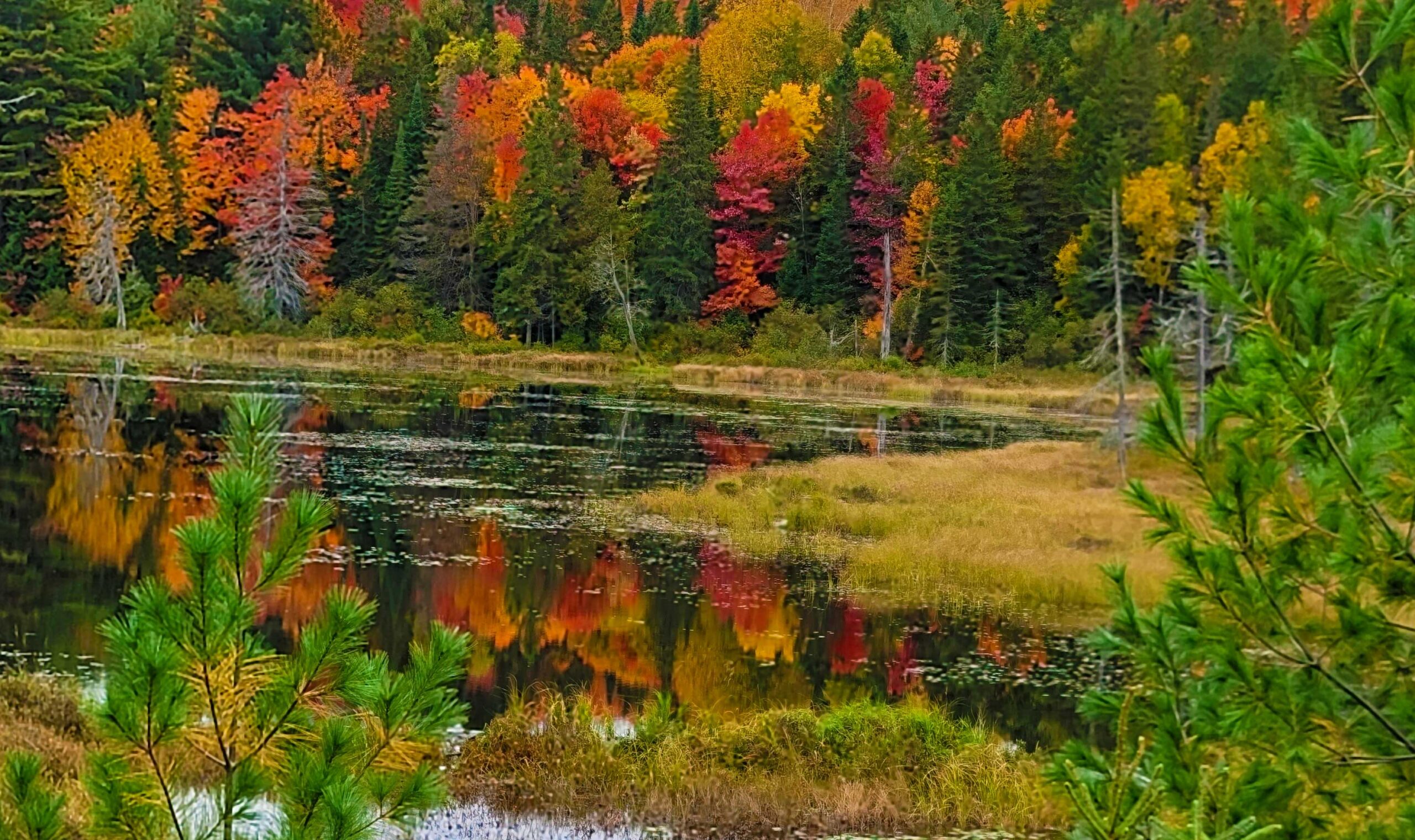 Fall colours in The Ottawa Valley