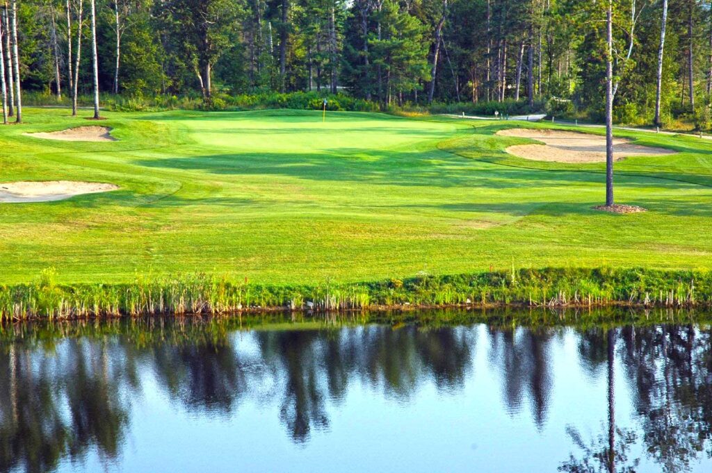 White tail- 17th hole